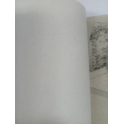 ปริศนา! นักล่าผี THE GHOSTHUNT 10 **รบกวนเลื่อนดูสภาพหนังสือก่อนการสั่งซื้อ**